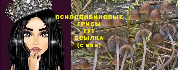 хмурый Нязепетровск