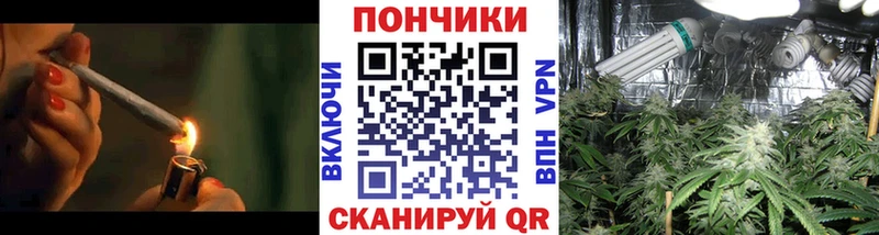 Шишки марихуана THC 21%  Купить закладки  Луховицы 